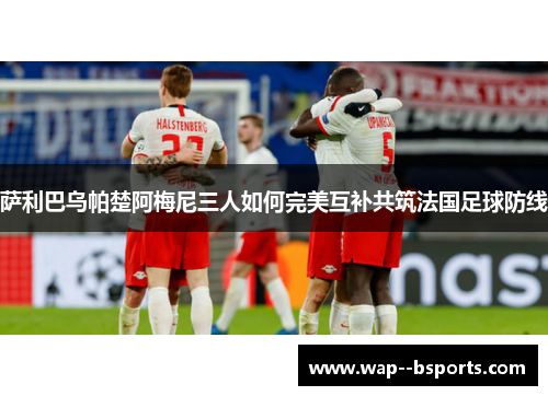 萨利巴乌帕楚阿梅尼三人如何完美互补共筑法国足球防线