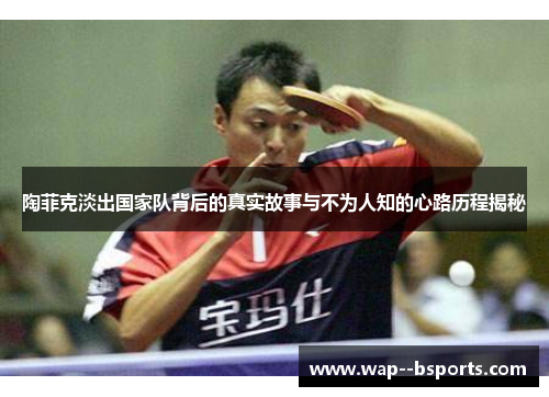 陶菲克淡出国家队背后的真实故事与不为人知的心路历程揭秘 陶菲克淡出国家队背后的真实故事与不为人知的心路历程揭秘