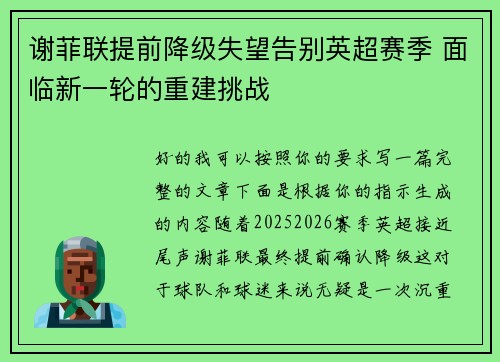 谢菲联提前降级失望告别英超赛季 面临新一轮的重建挑战