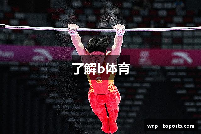 了解b体育